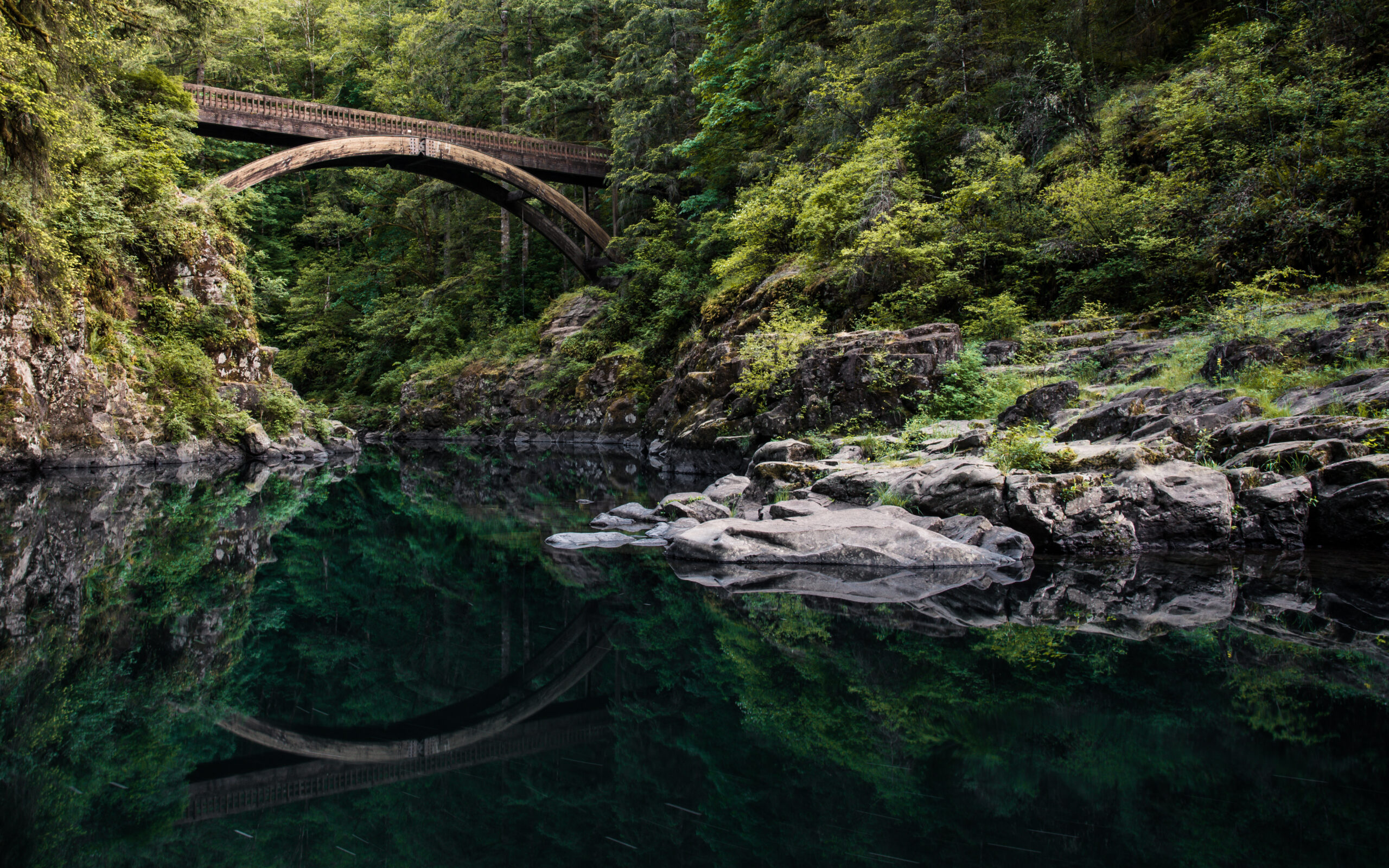 Multnomah Falls in the Pacific Northwest